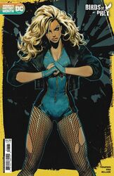 black canary from dc comics by sozomaika