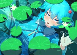 kawashiro nitori from touhou