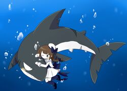 wadanohara from funamusea by k.z.r