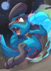 riolu from pokemon