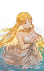 princess zelda from the legend of zelda by ivy60530