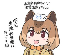 capybara (kemono friends) from kemono friends