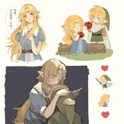 link from the legend of zelda