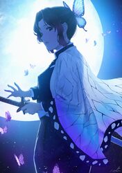 kochou shinobu from kimetsu no yaiba by papi (papiron100)