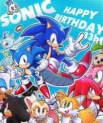 amy rose from sonic (series)