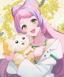 fidough from pokemon