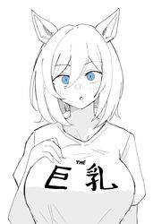 eishin flash (umamusume) from umamusume
