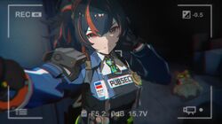 bangboo (zenless zone zero) from zenless zone zero