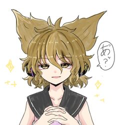 toyosatomimi no miko from touhou