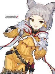 nia (xenoblade) from xenoblade chronicles (series)
