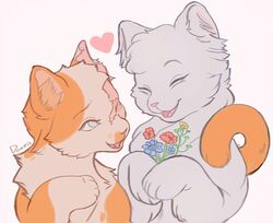 cloudtail from warrior cats