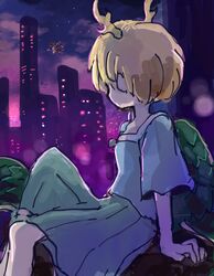 kicchou yachie from touhou