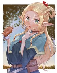marcille donato from dungeon meshi by kajichan