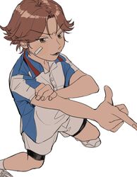 kikumaru eiji from tennis no ouji-sama