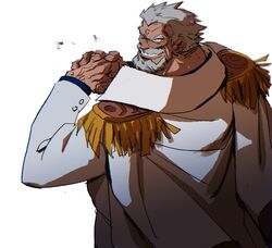 monkey d. garp from one piece