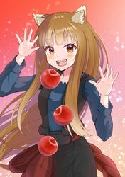 holo from spice and wolf