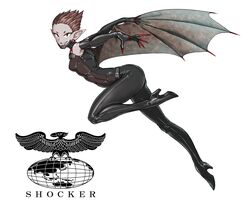 koumori otoko (kamen rider) from kamen rider by eidenjyou1997