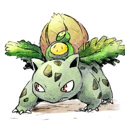 budew from pokemon by shinkichi