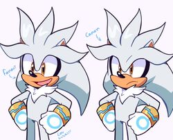 silver the hedgehog from sonic (series) by lou lubally