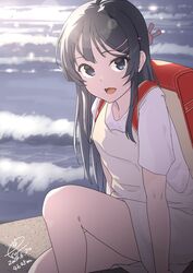 sakurajima mai from seishun buta yarou by raiz art works