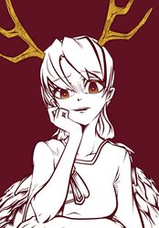 kicchou yachie from touhou