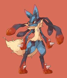 lucario from pokemon