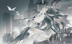 shining (arknights) from arknights