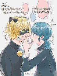 adrien agreste from miraculous ladybug