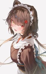 inui toko from nijisanji