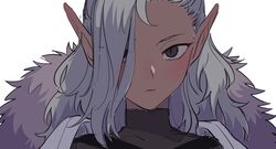 unicorn overlord fan art