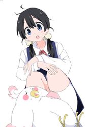 dera mochimazzui from tamako market by cynical (llcbluckg c004)