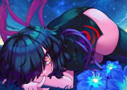 houjuu nue from touhou