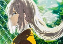 violet evergarden from violet evergarden (series)