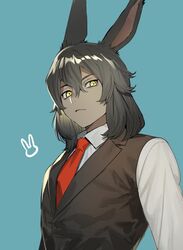 viera from final fantasy