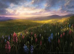 magic: the gathering fan art