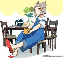 nia (xenoblade) from xenoblade chronicles (series)