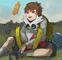 iron bundle from pokemon