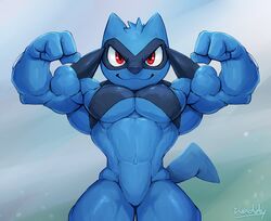 riolu from pokemon
