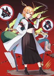 kicchou yachie from touhou