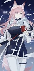 pozyomka (arknights) from arknights
