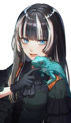 juufuutei raden from hololive
