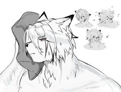 von lycaon from zenless zone zero