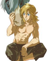 link from the legend of zelda by mgong520