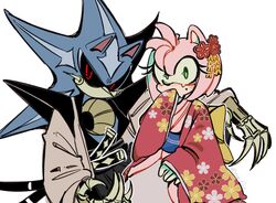 amy rose from sonic (series)