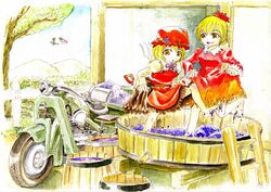 aki minoriko from touhou by master (4th)