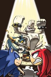 knuckles the echidna from sonic (series)