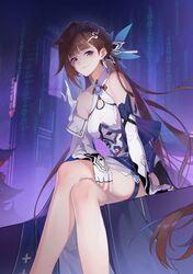 li sushang from honkai (series)