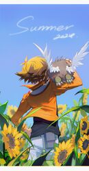 winged kuriboh from yu-gi-oh!