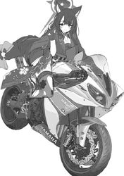 wakamo (blue archive) from blue archive by jun project