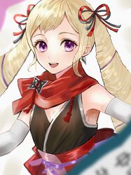 elise (fire emblem) from fire emblem